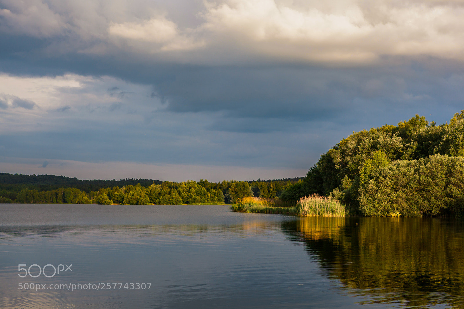 Canon EOS 5D Mark II sample photo. Brombachsee photography
