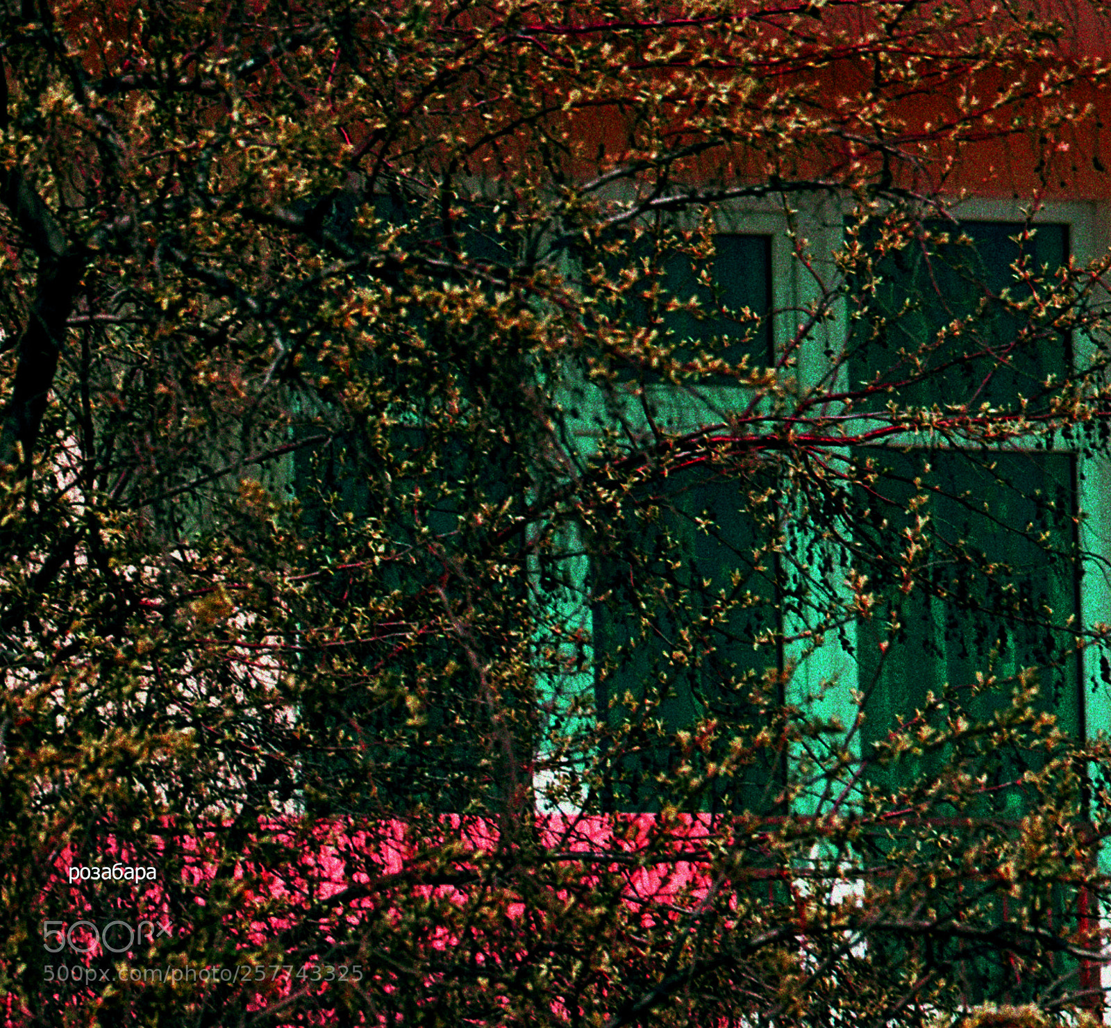 Nikon D3200 sample photo. окно турбазы photography