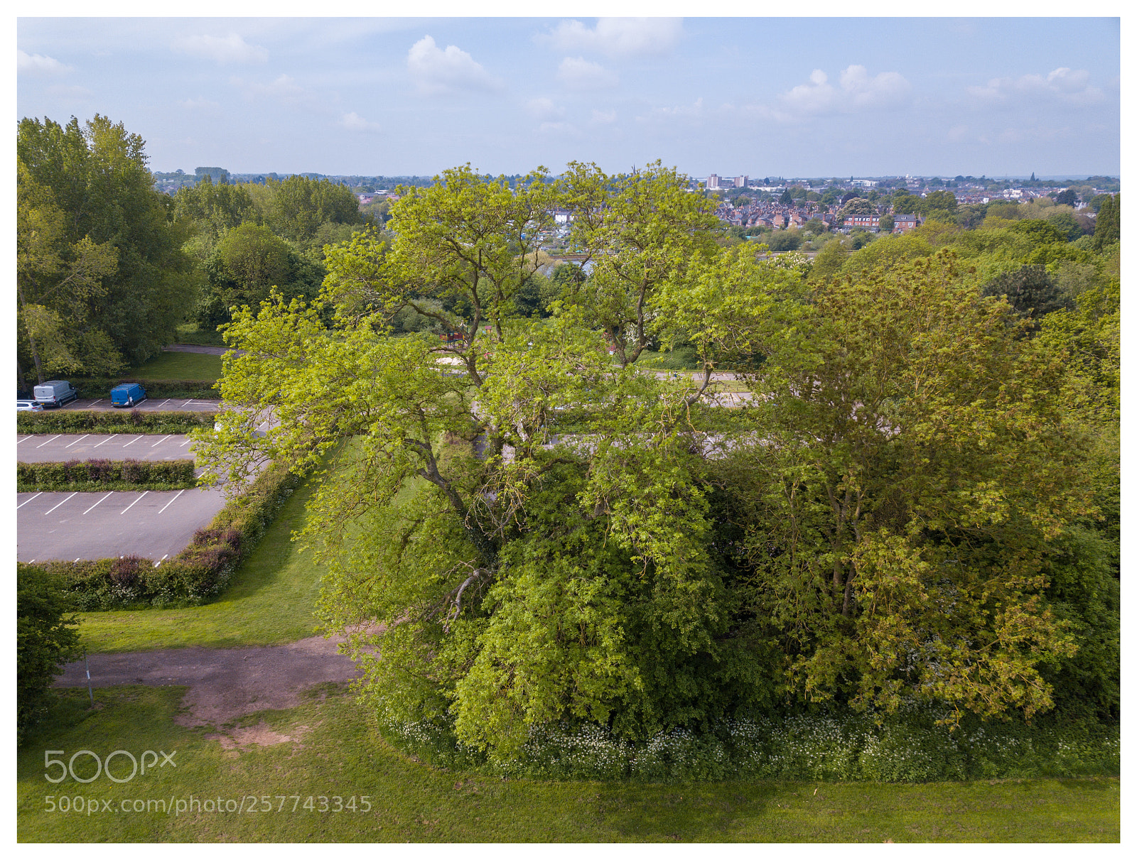DJI FC220 sample photo. Dji photography