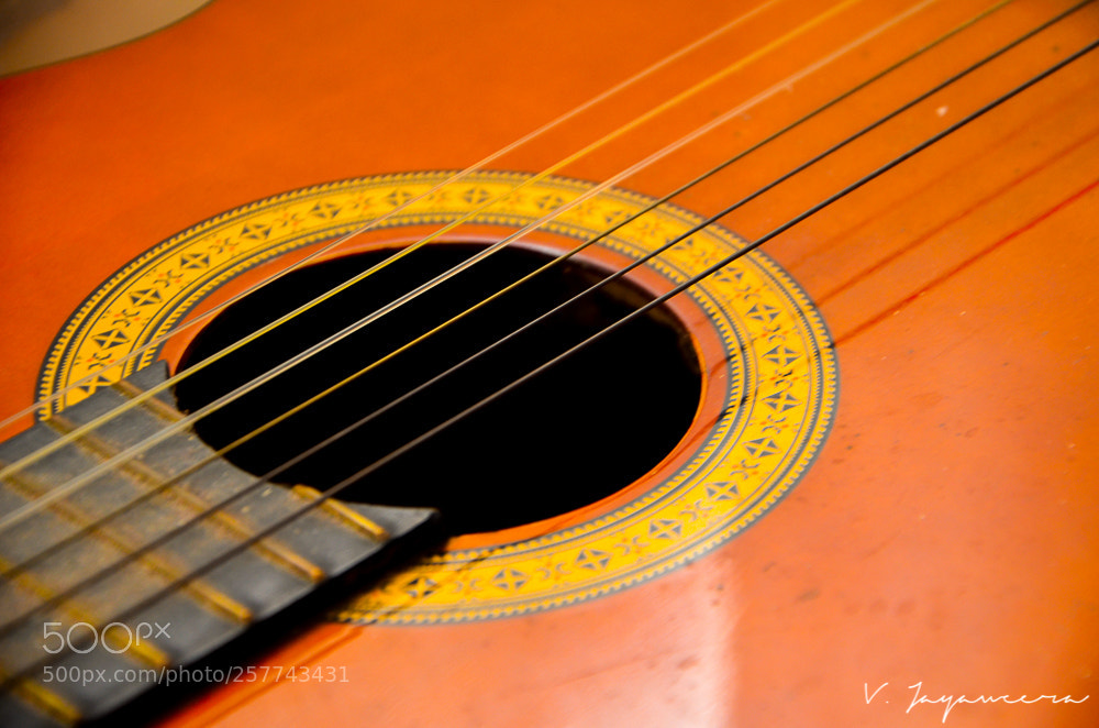 Nikon D7000 sample photo. Strings of happiness photography