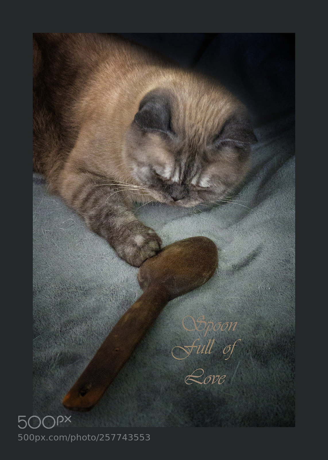 Canon EOS 700D (EOS Rebel T5i / EOS Kiss X7i) sample photo. Everybody needs a spoon photography