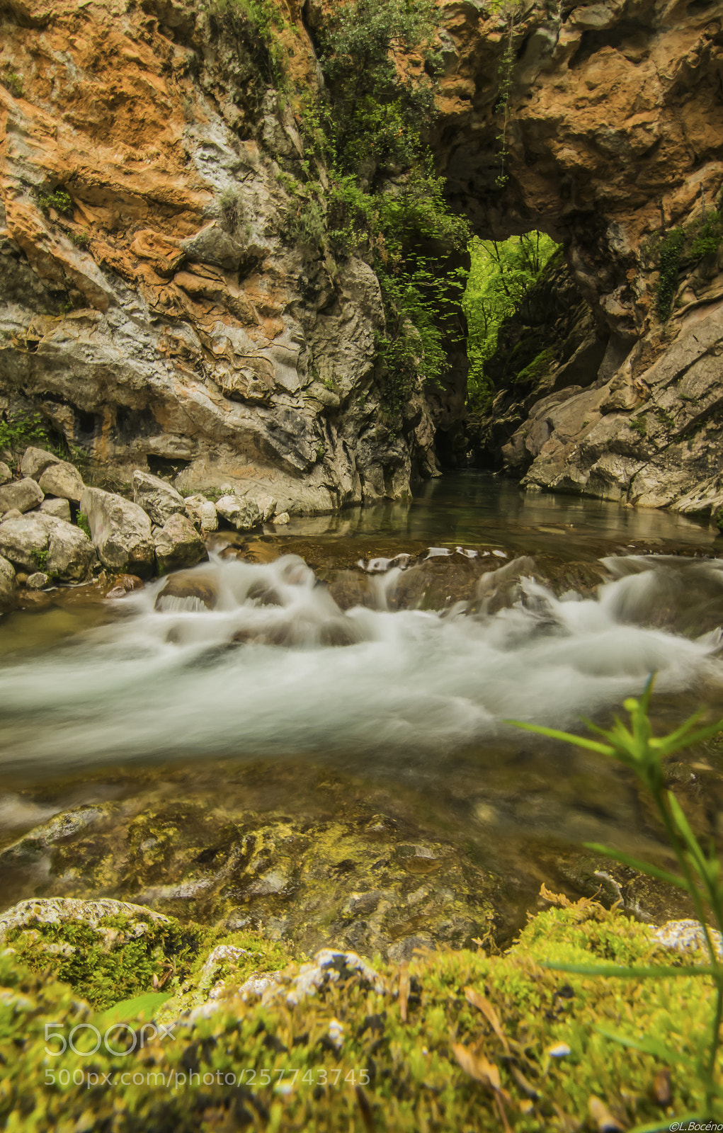 Nikon D5500 sample photo. River with an arch photography