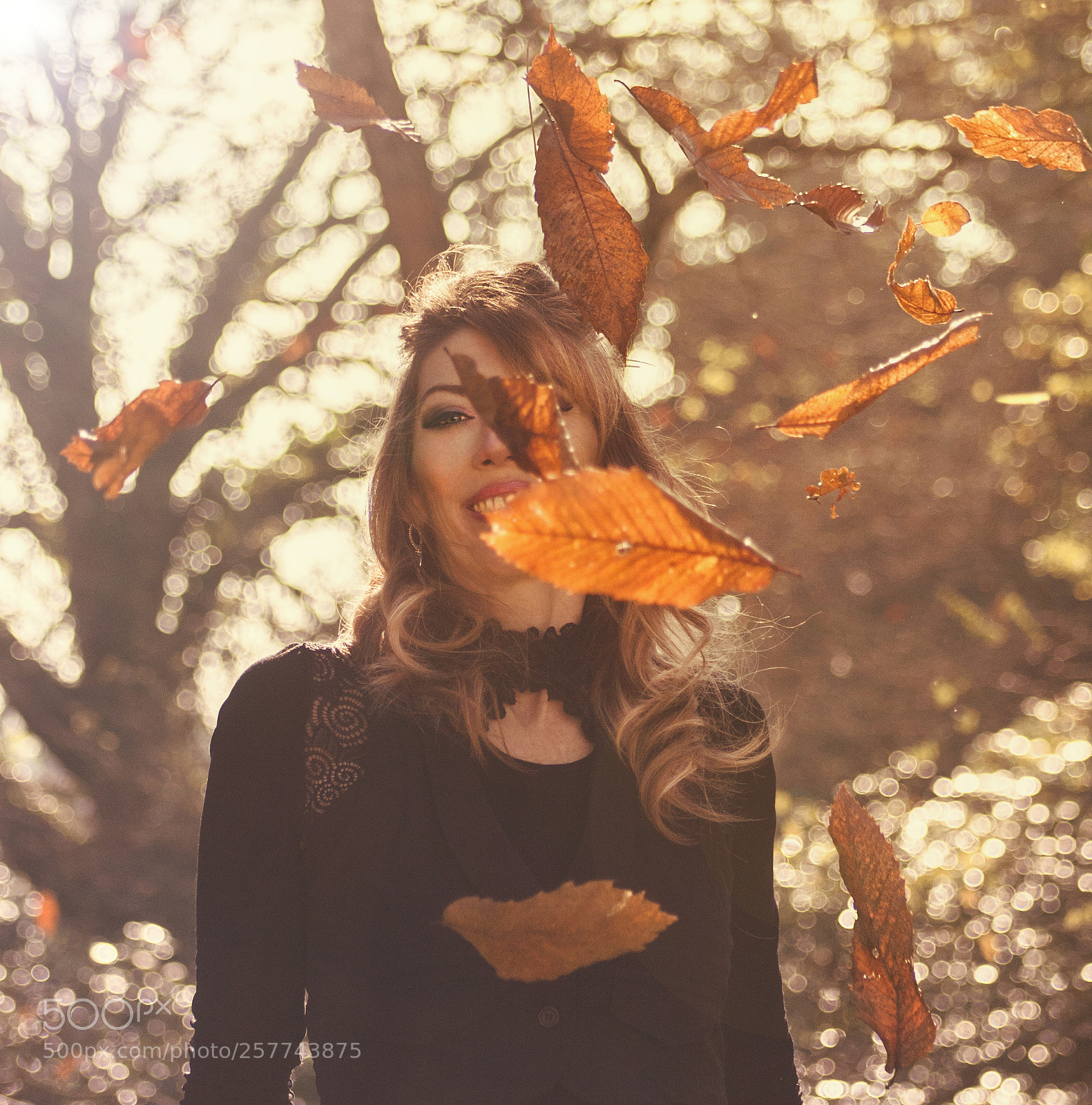Canon EOS 40D sample photo. Bis photography