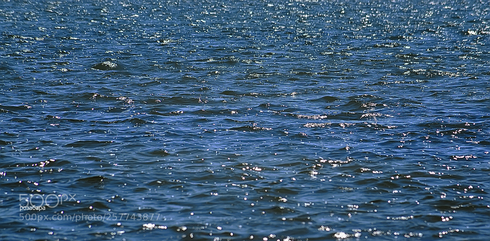 Nikon D3200 sample photo. морская вода так притягивает photography