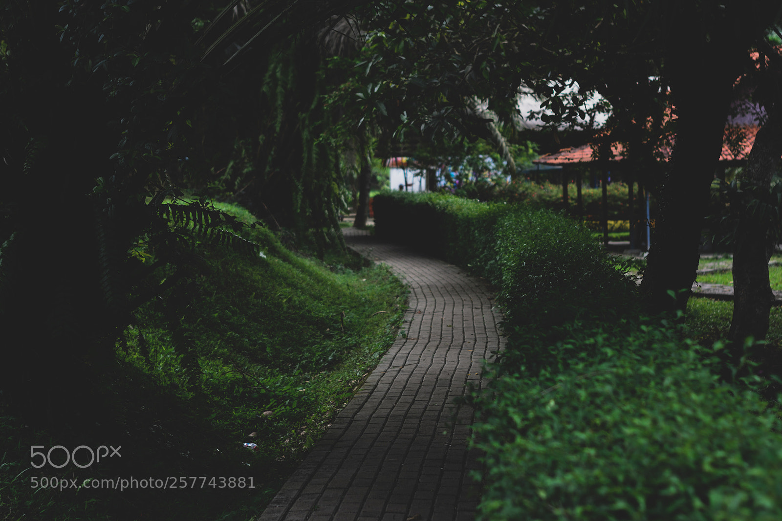 Nikon D5200 sample photo. Way photography