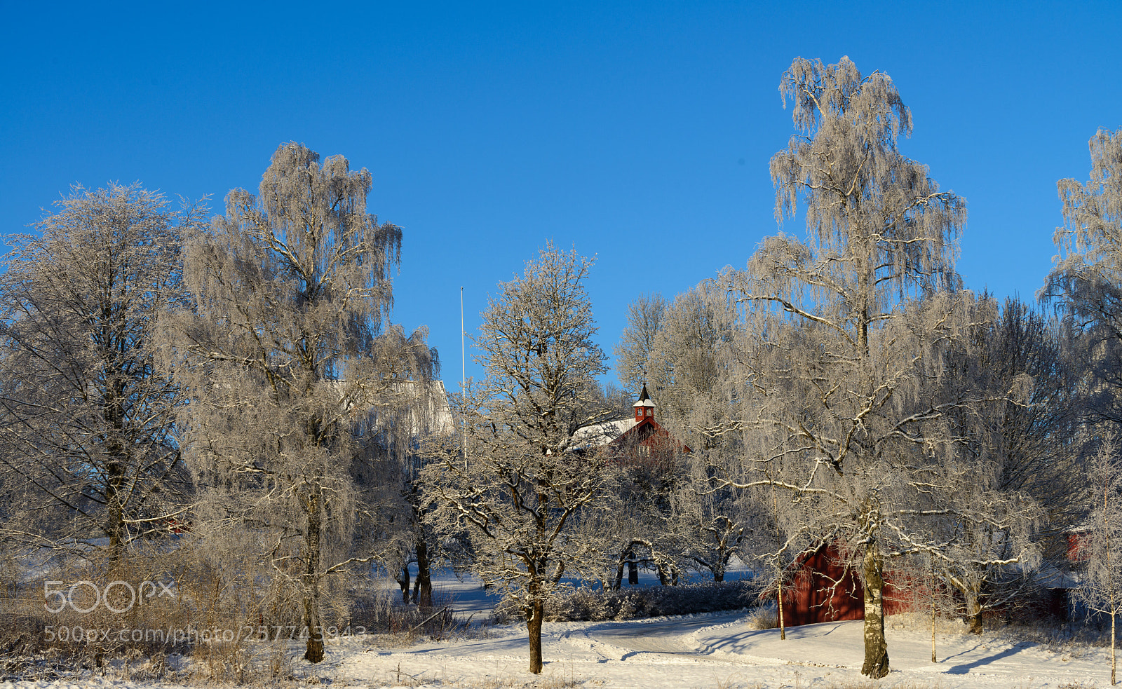 Nikon D800 sample photo. December norway photography