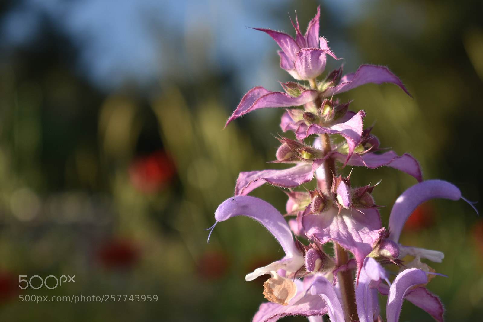 Nikon D3400 sample photo. 6 photography