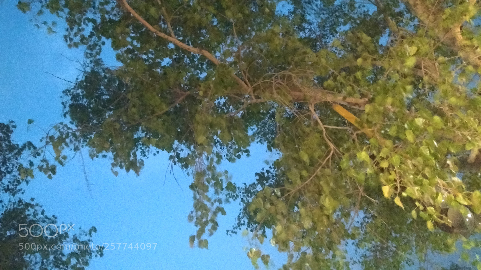 Xiaomi Redmi Note 4 sample photo. Untitled photography
