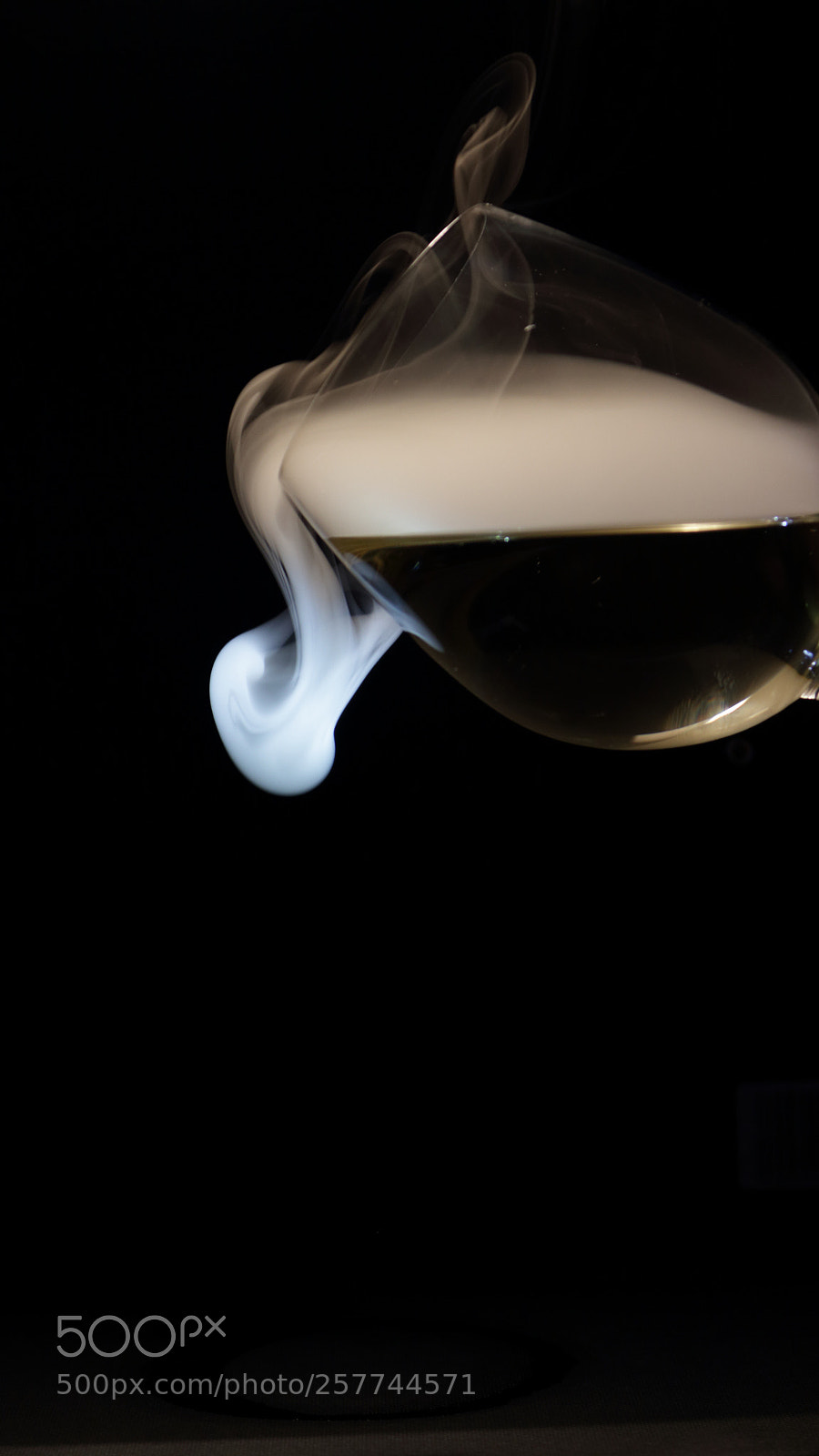 Canon EOS 700D (EOS Rebel T5i / EOS Kiss X7i) sample photo. Two poisons photography