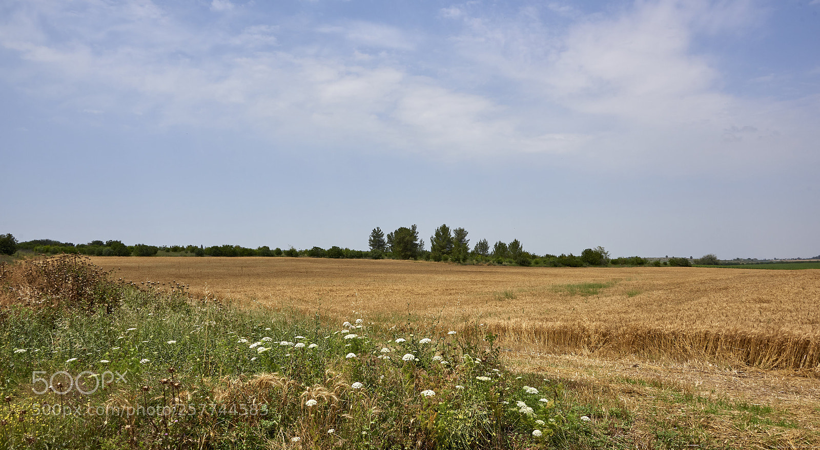Nikon D810 sample photo. Landscape photography