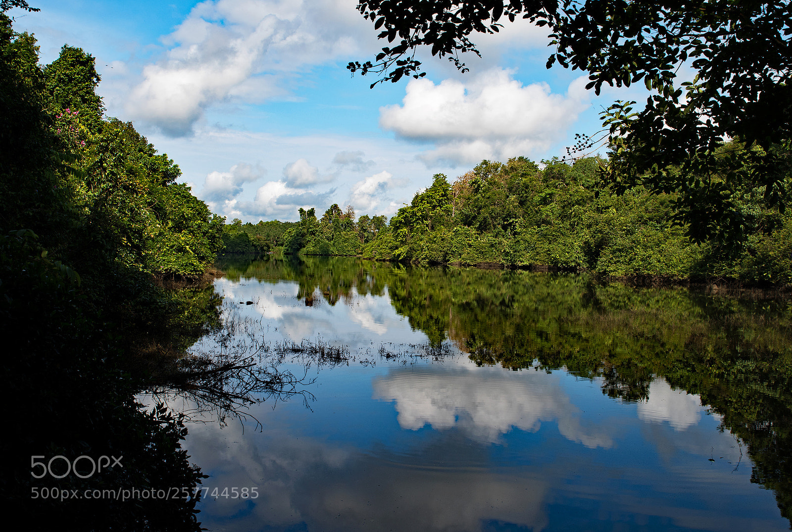 Nikon D500 sample photo. Wild reflection photography
