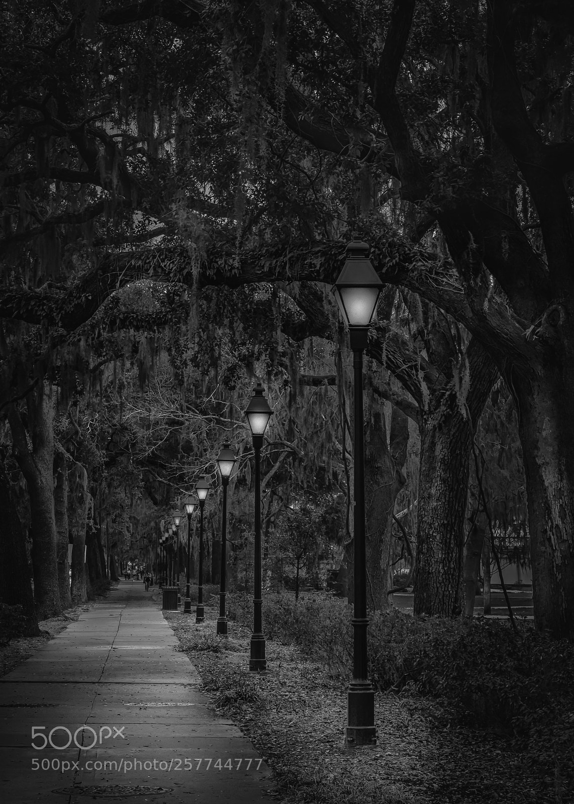 Fujifilm X-T2 sample photo. The light come up photography