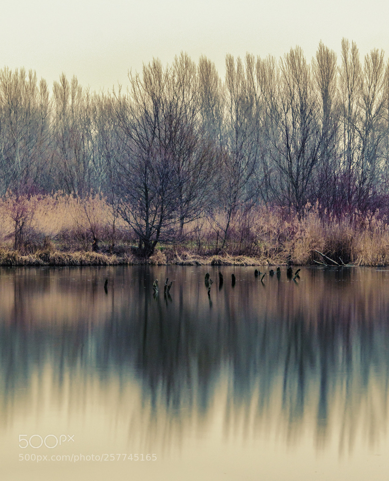 Nikon D5100 sample photo. Autumn reflections photography