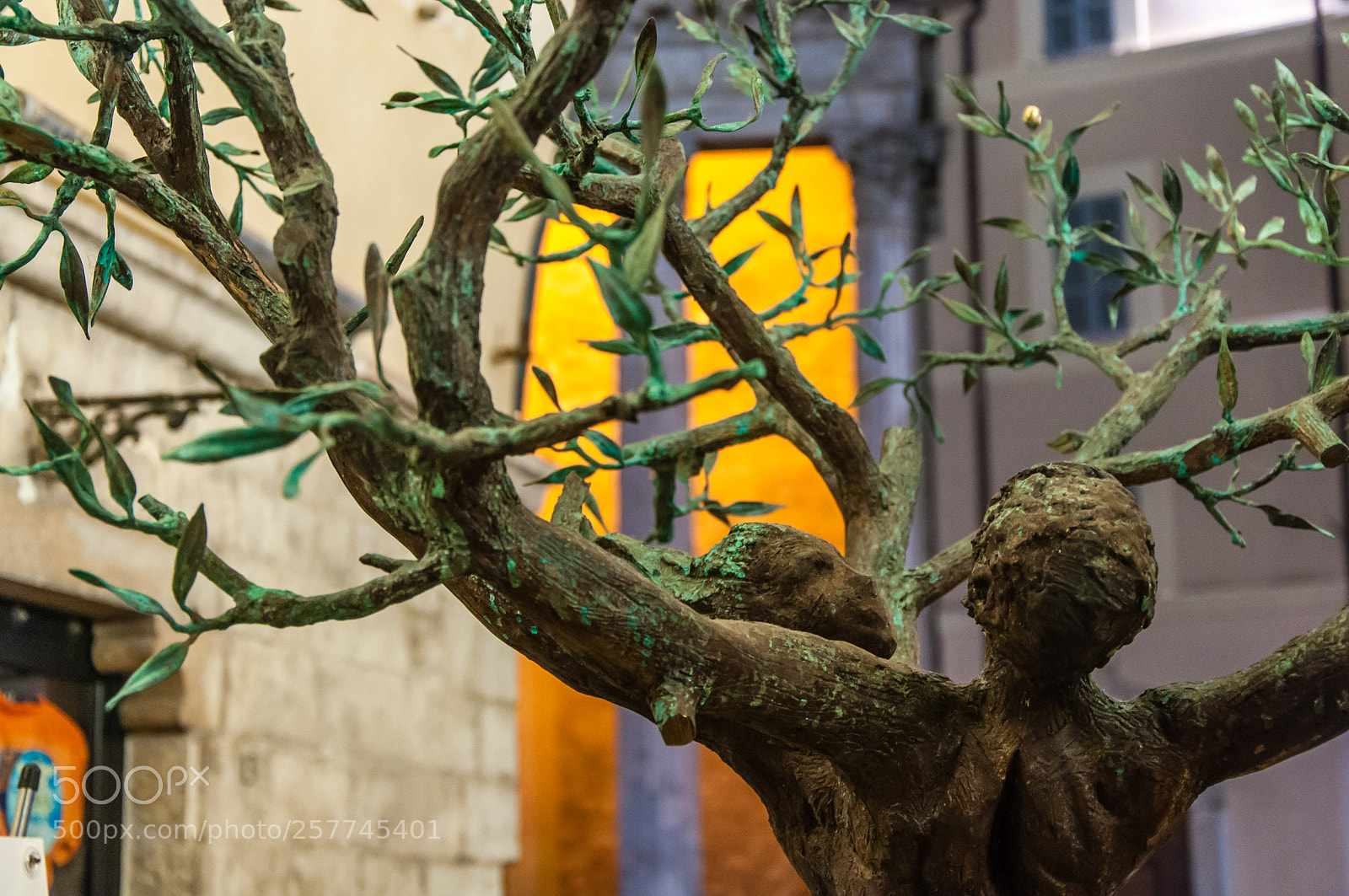 Nikon D90 sample photo. The tree of life photography