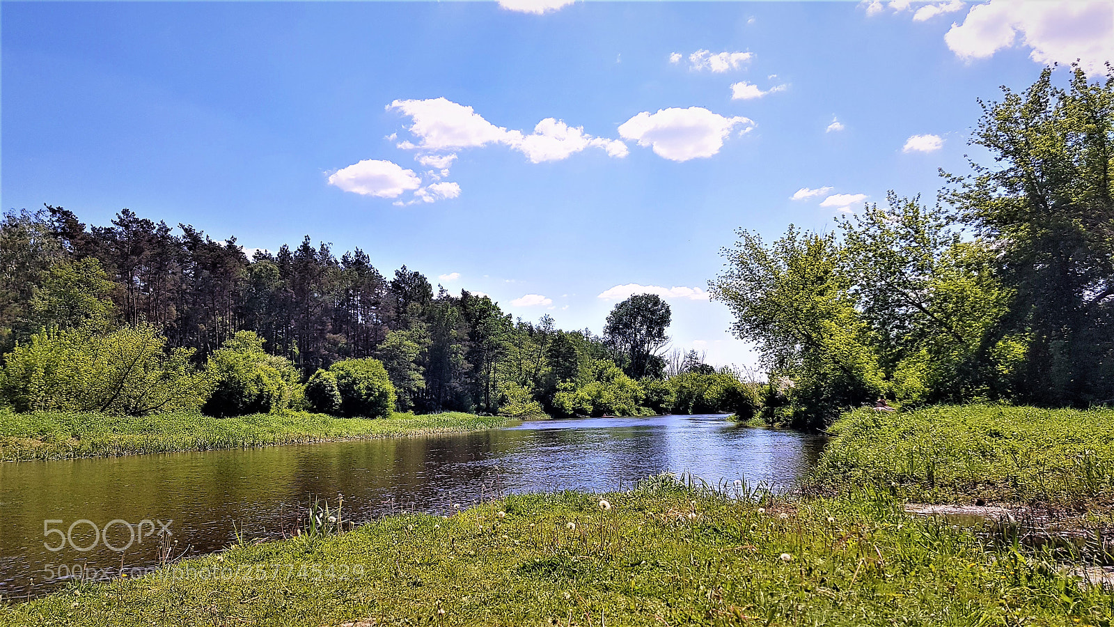 Samsung Galaxy S8+ sample photo. Nature photography