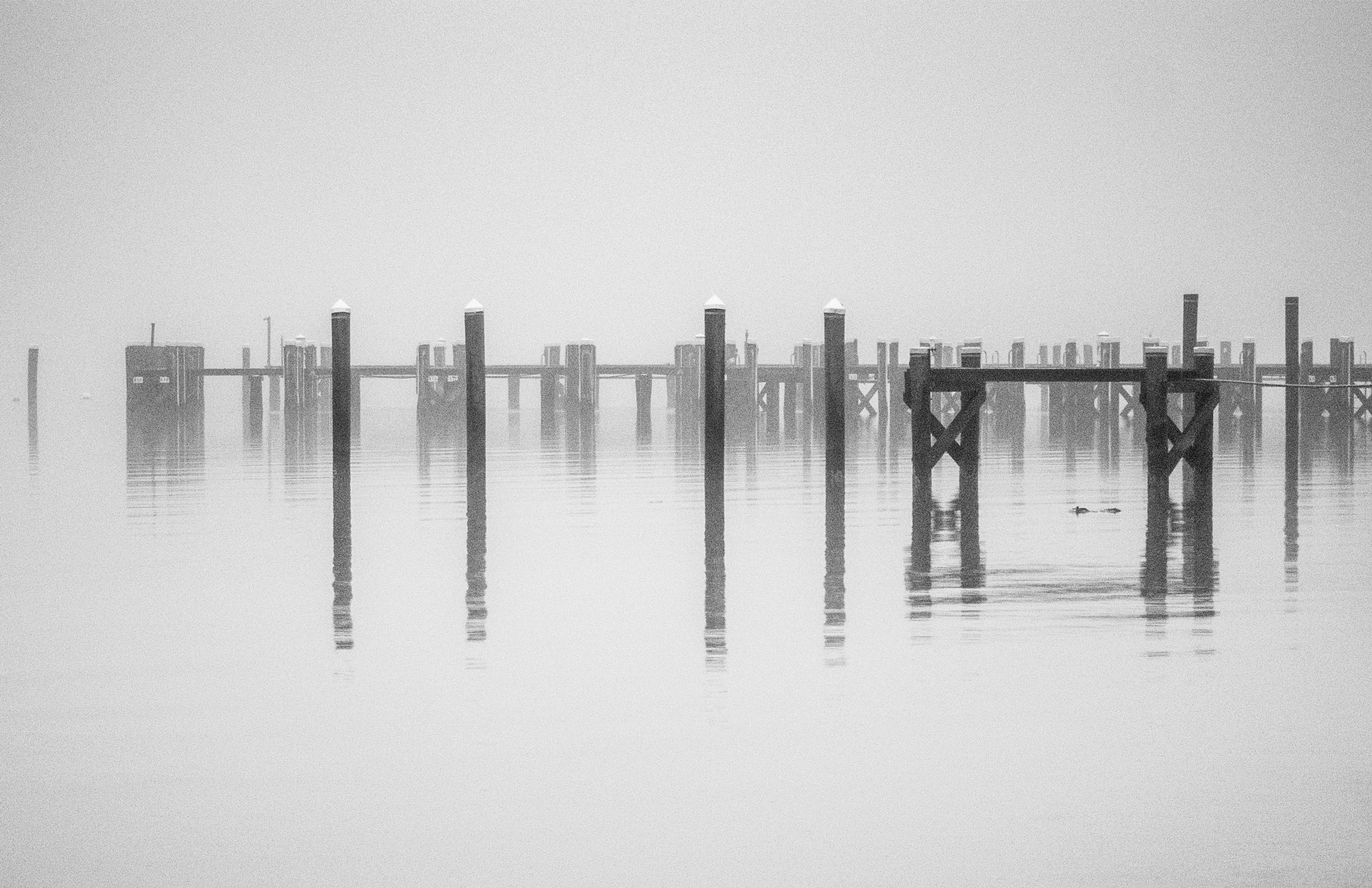 Canon PowerShot S95 sample photo. Docks in mist photography