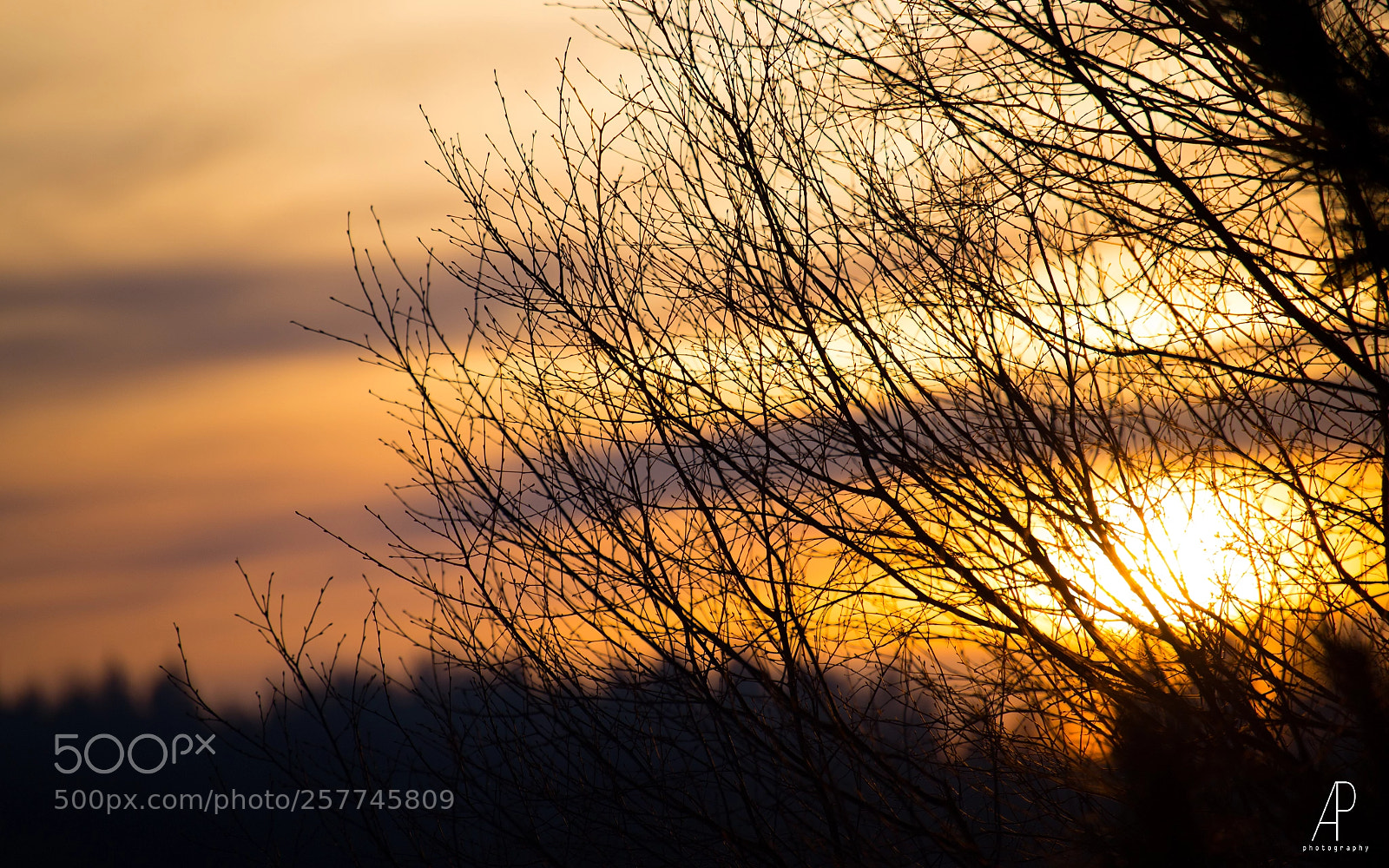 Canon EOS 6D sample photo. Lakeus iv photography