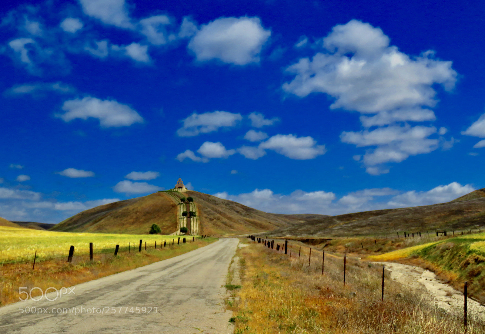 Canon PowerShot SX60 HS sample photo. Rural treasure photography