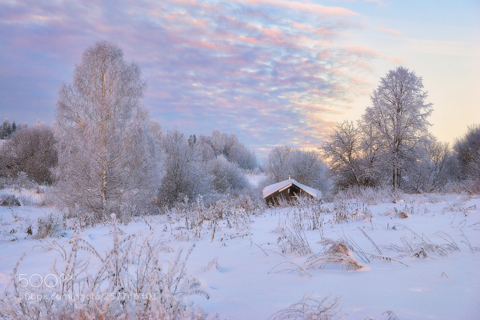 Nikon D610 sample photo. 9201 winter in the photography