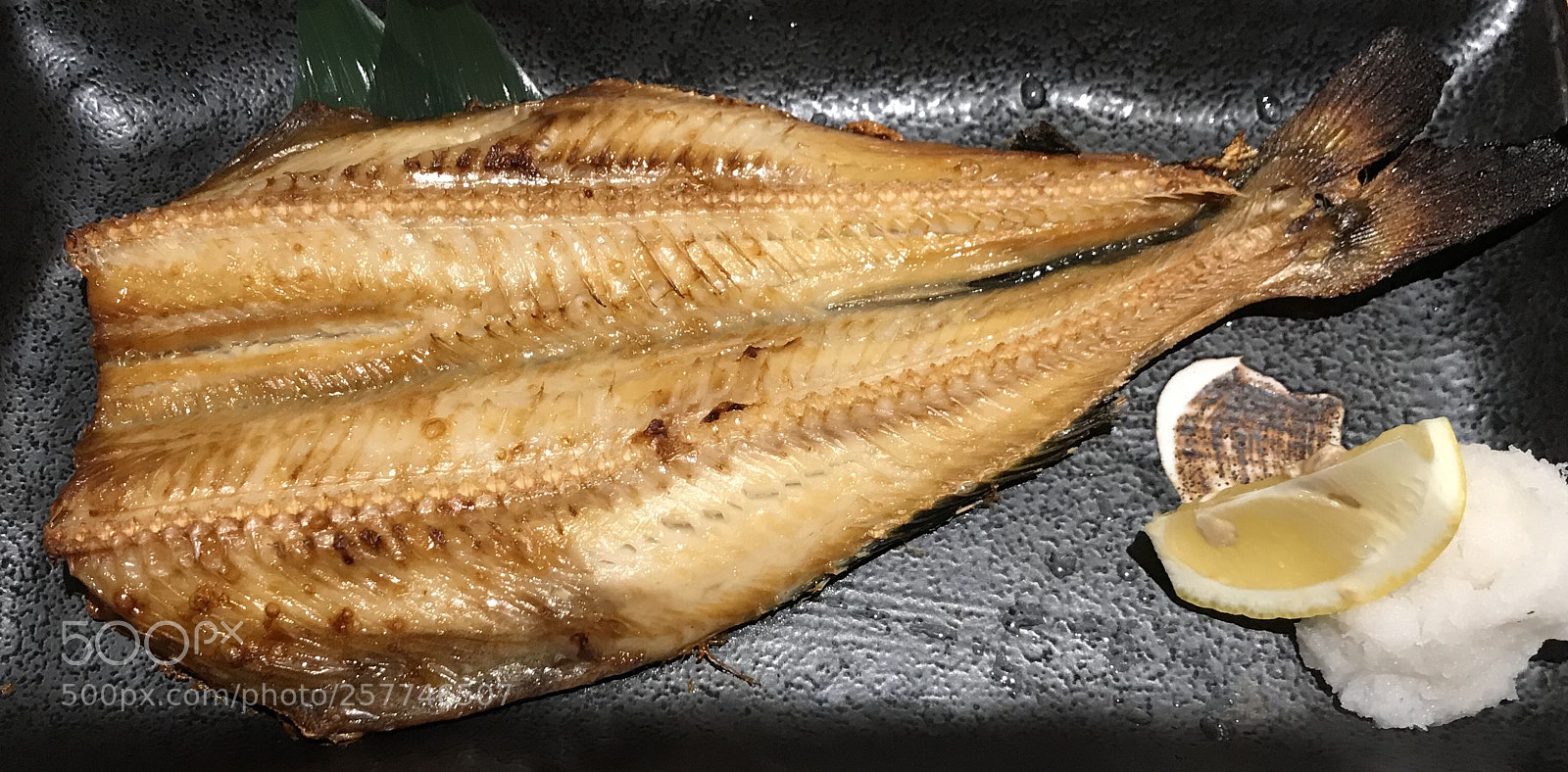 Apple iPhone 7 sample photo. Hokke fish photography