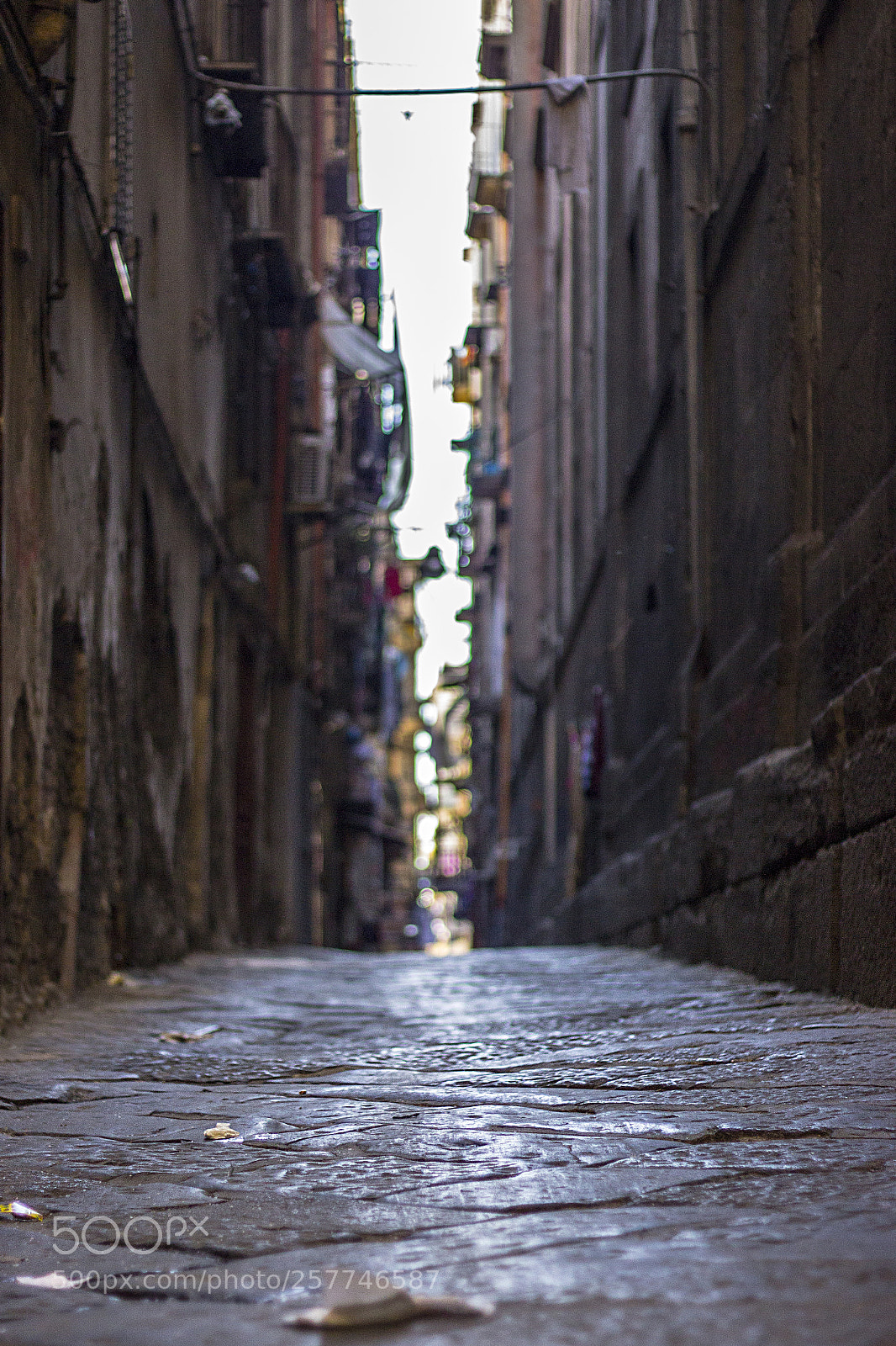 Canon EOS 600D (Rebel EOS T3i / EOS Kiss X5) sample photo. Neapolitan alleys photography