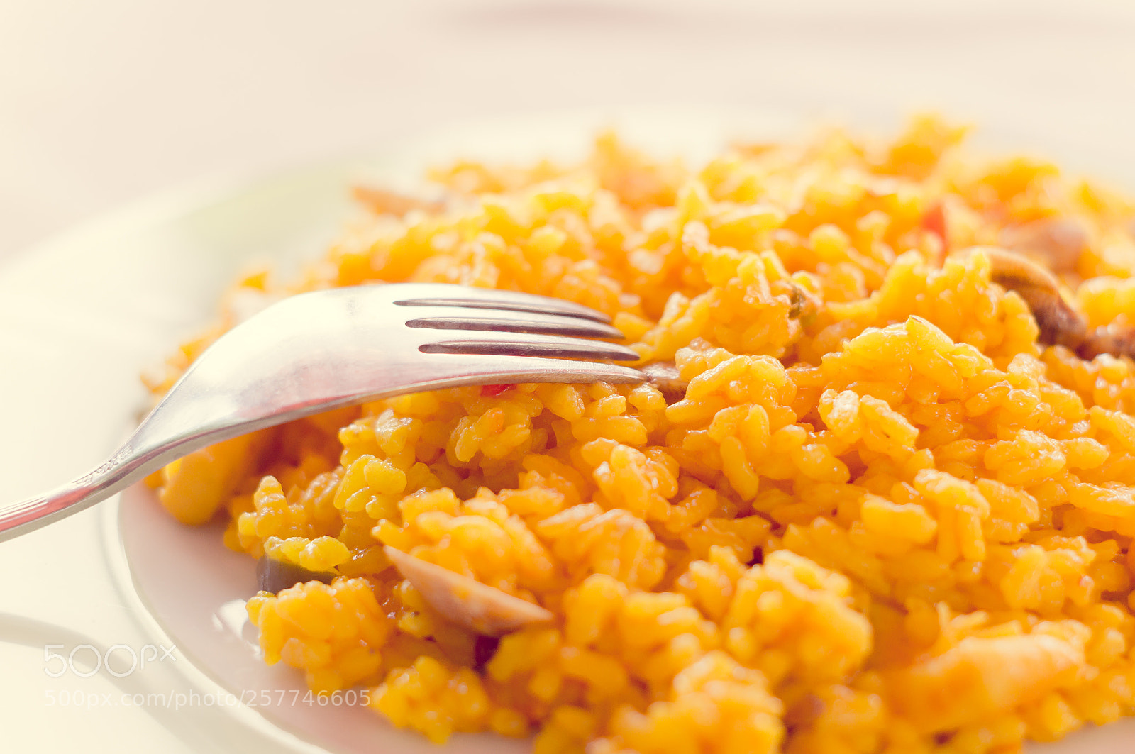 Sony SLT-A57 sample photo. Paella photography