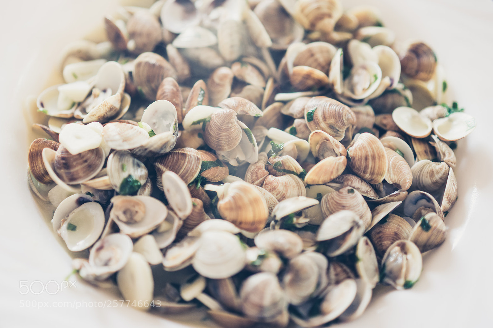 Sony a7 II sample photo. Close-up of delicious mussels photography