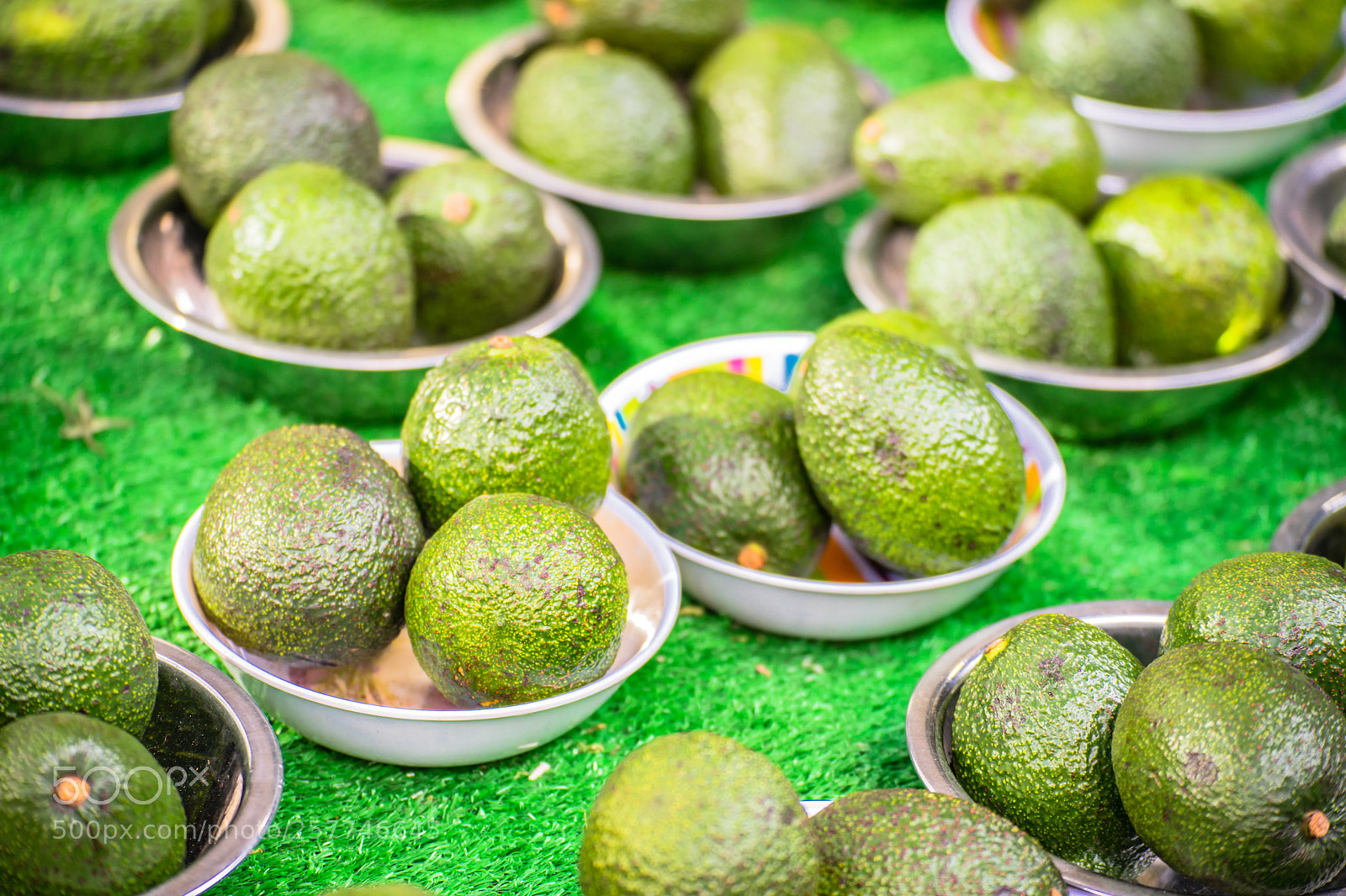 Sony a7 II sample photo. The avocado fruits on photography