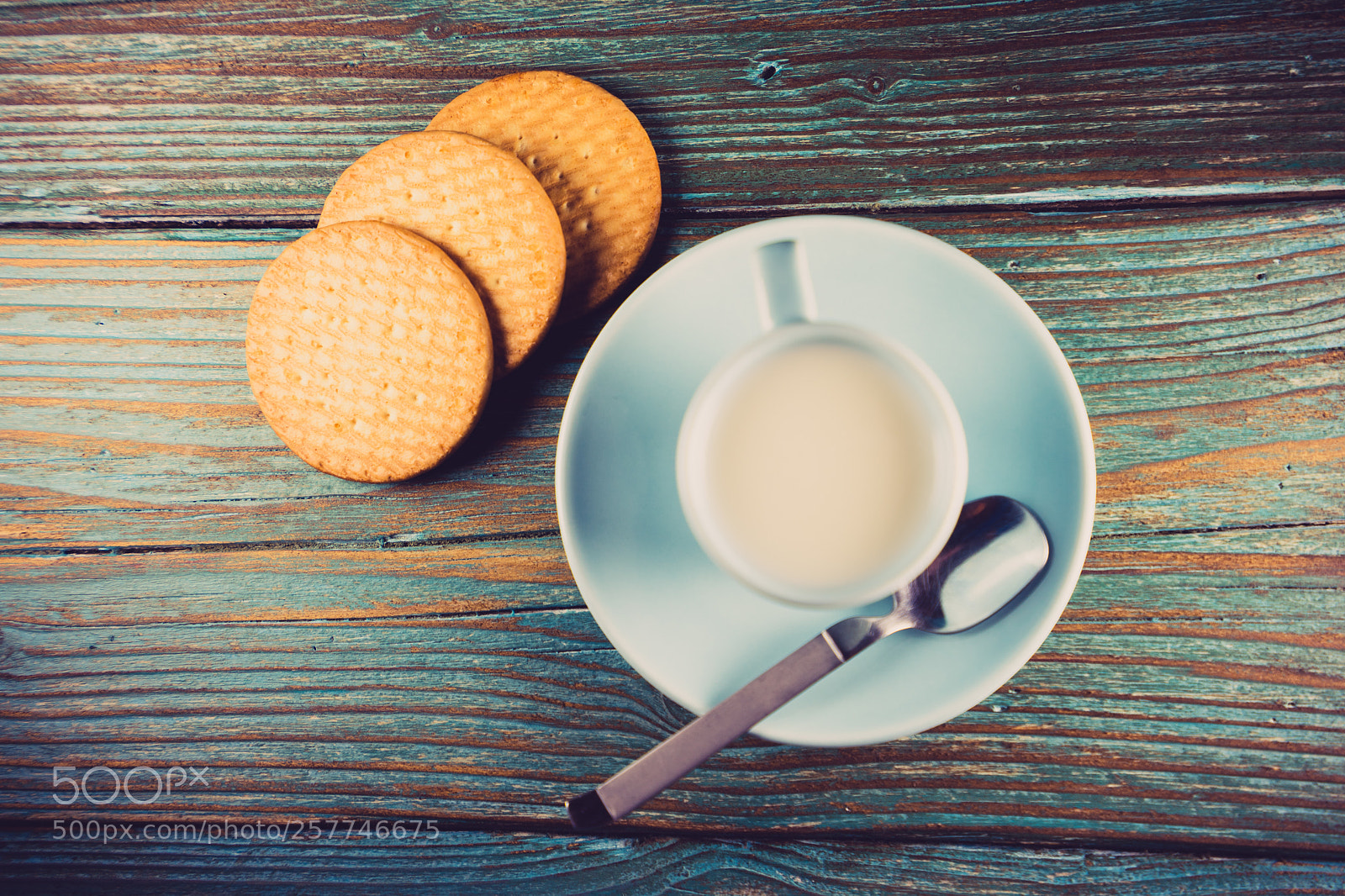 Sony a7 II sample photo. Close-up of mug of photography