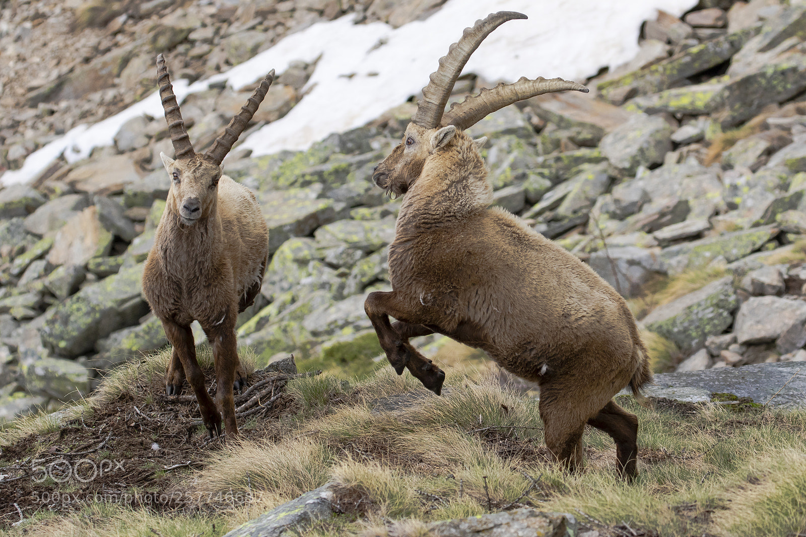 Canon EOS 7D Mark II sample photo. Ceresole reale mag photography