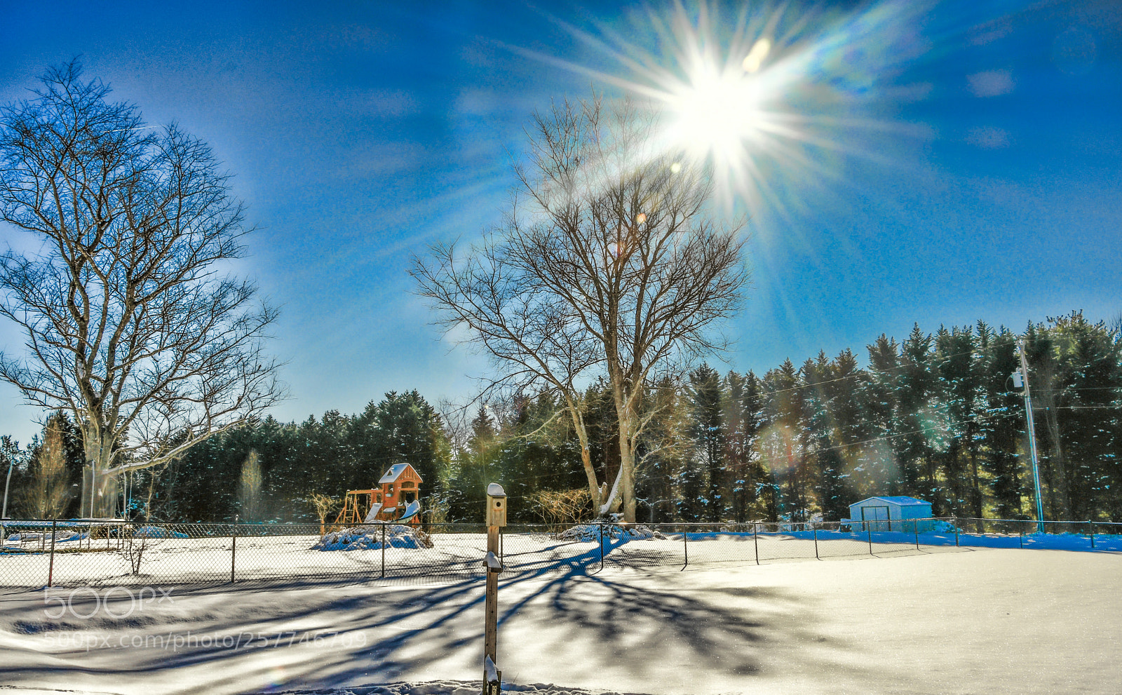 Nikon D500 sample photo. Edit edit edit edit photography
