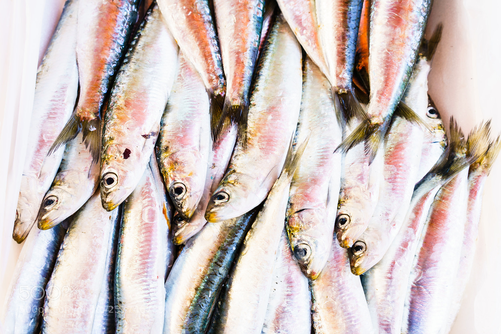 Sony a7 II sample photo. Many caught fish in photography