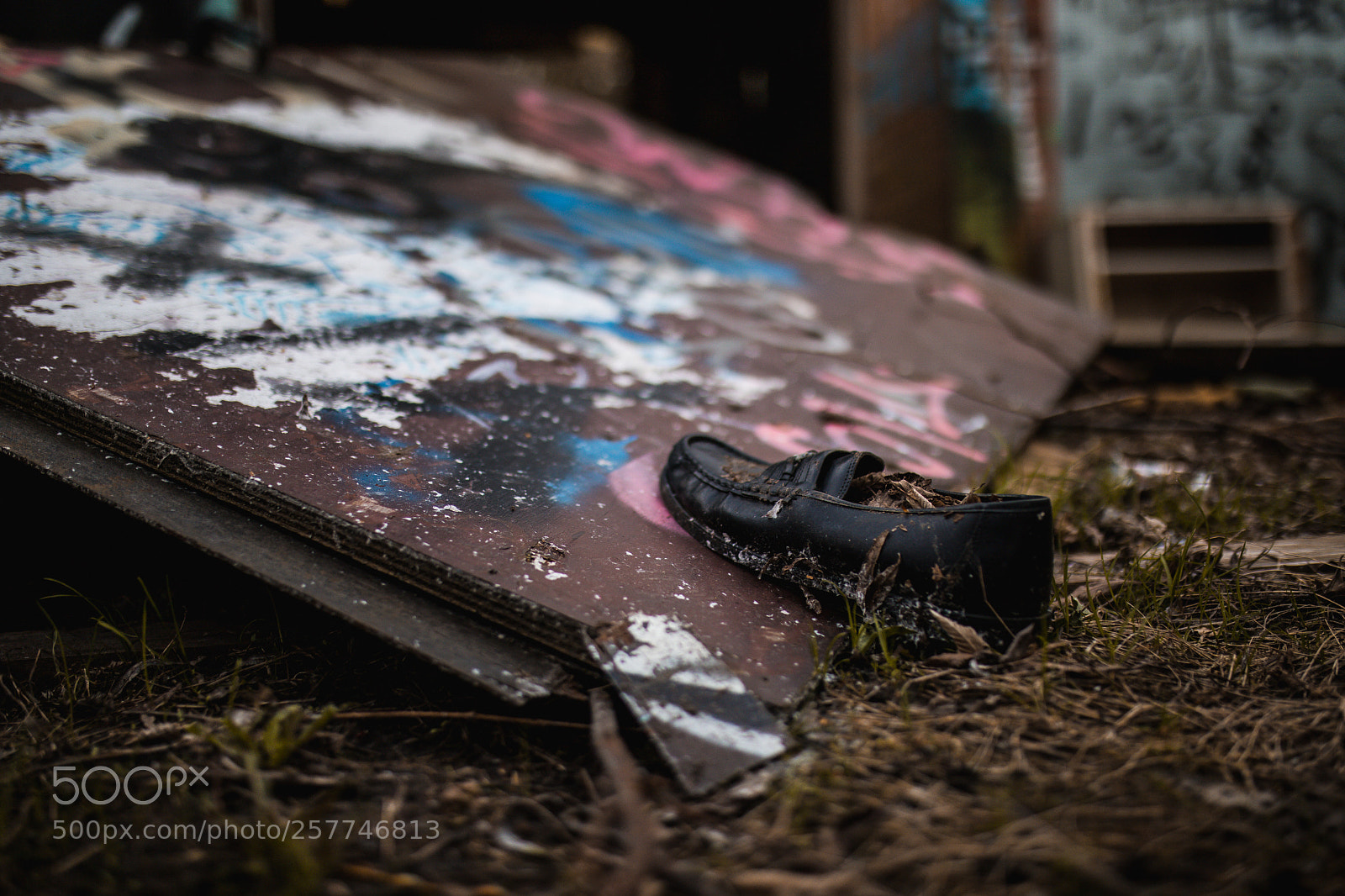 Canon EOS 6D Mark II sample photo. Lost shoe photography