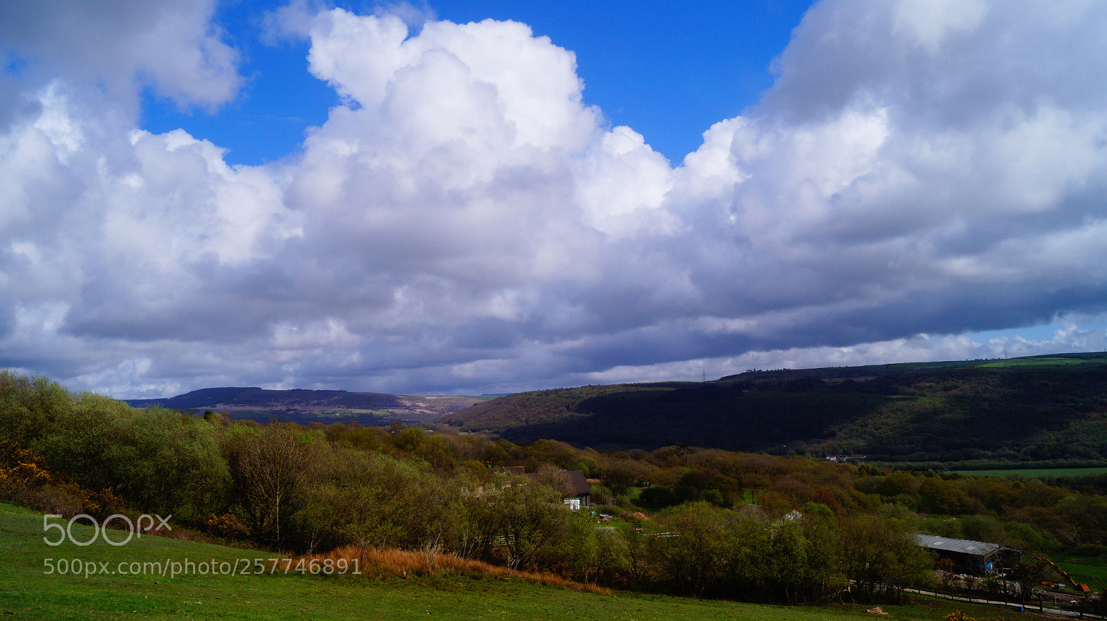 Sony SLT-A58 sample photo. Cloudscape and forest photography