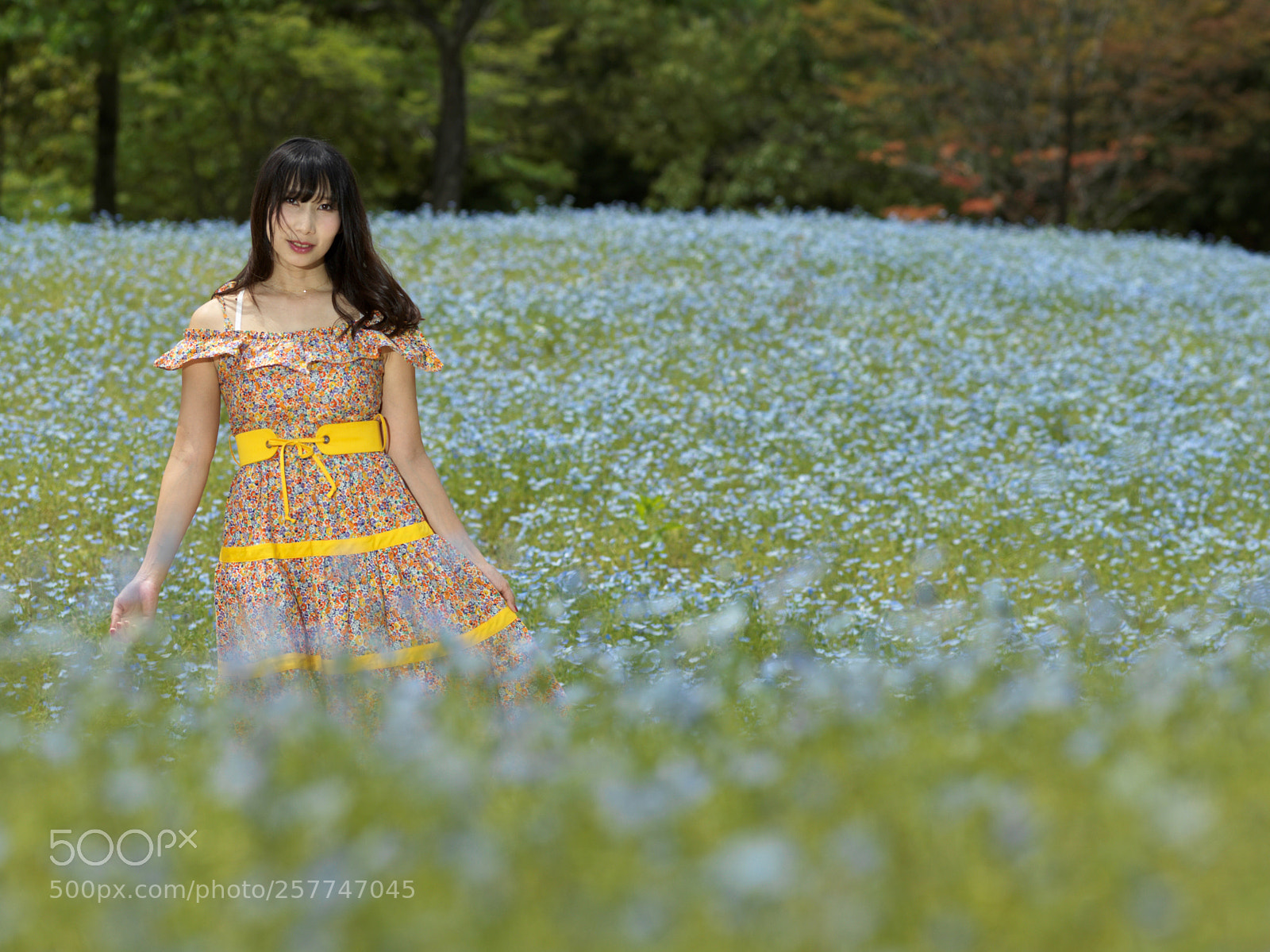 Hasselblad X1D-50c sample photo. In the flower garden photography