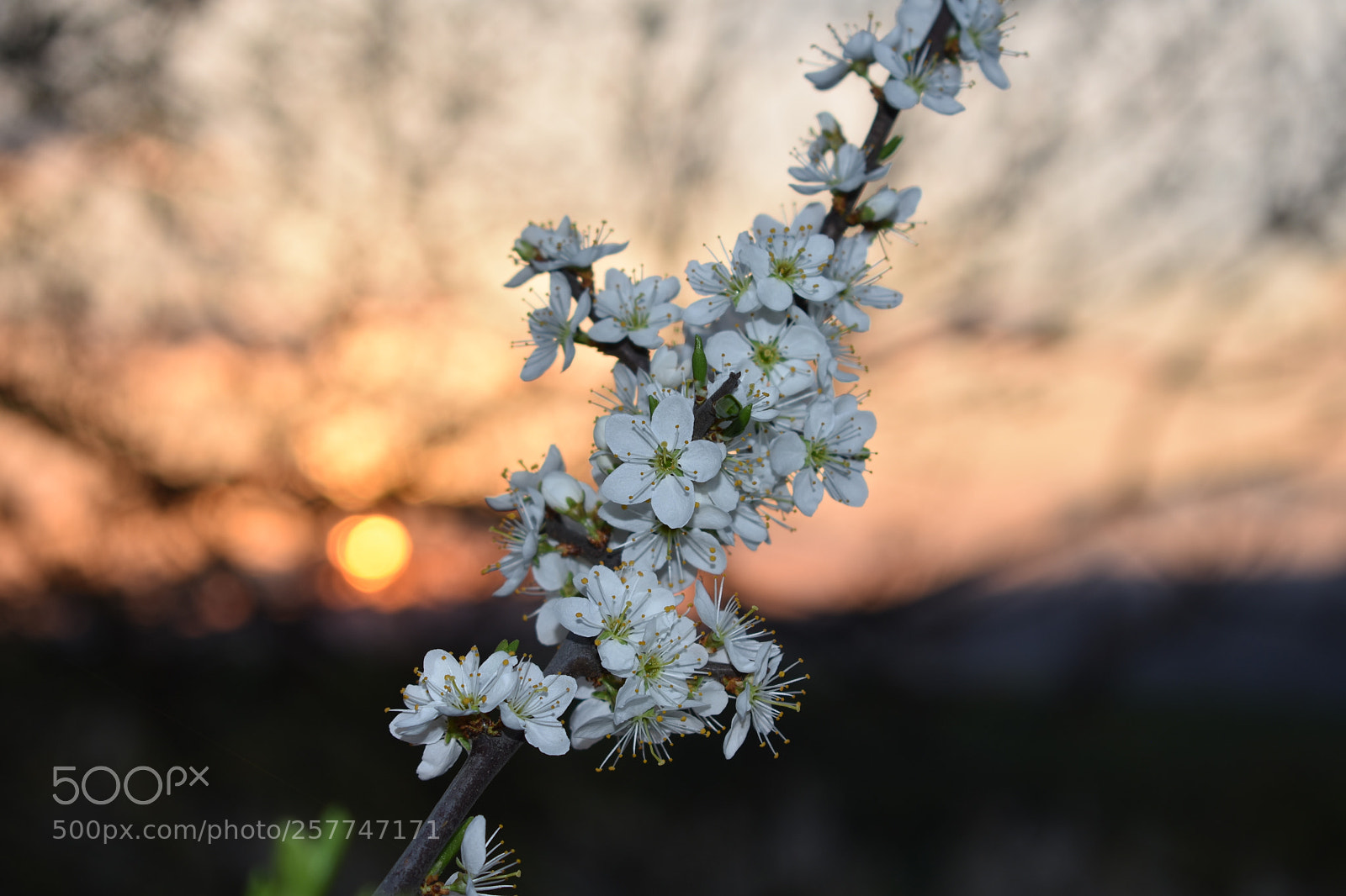 Nikon D3400 sample photo. Západ slnka photography