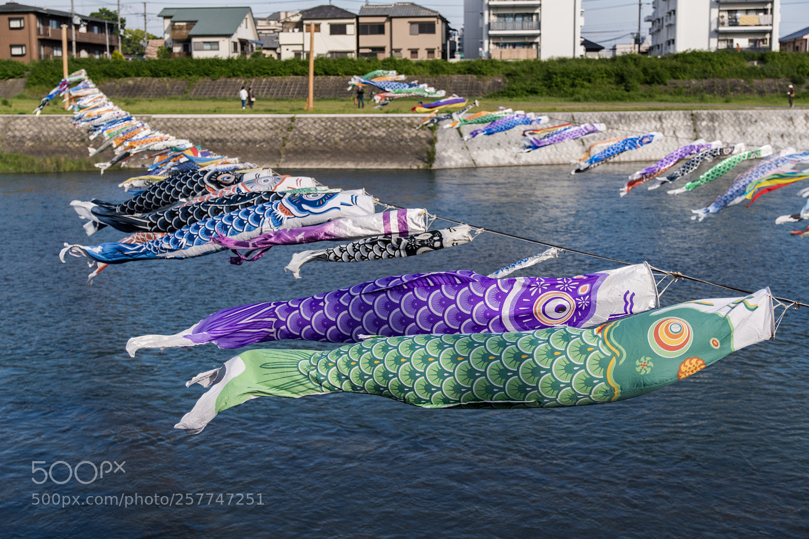Nikon D7500 sample photo. Koi nobori こいのぼり photography