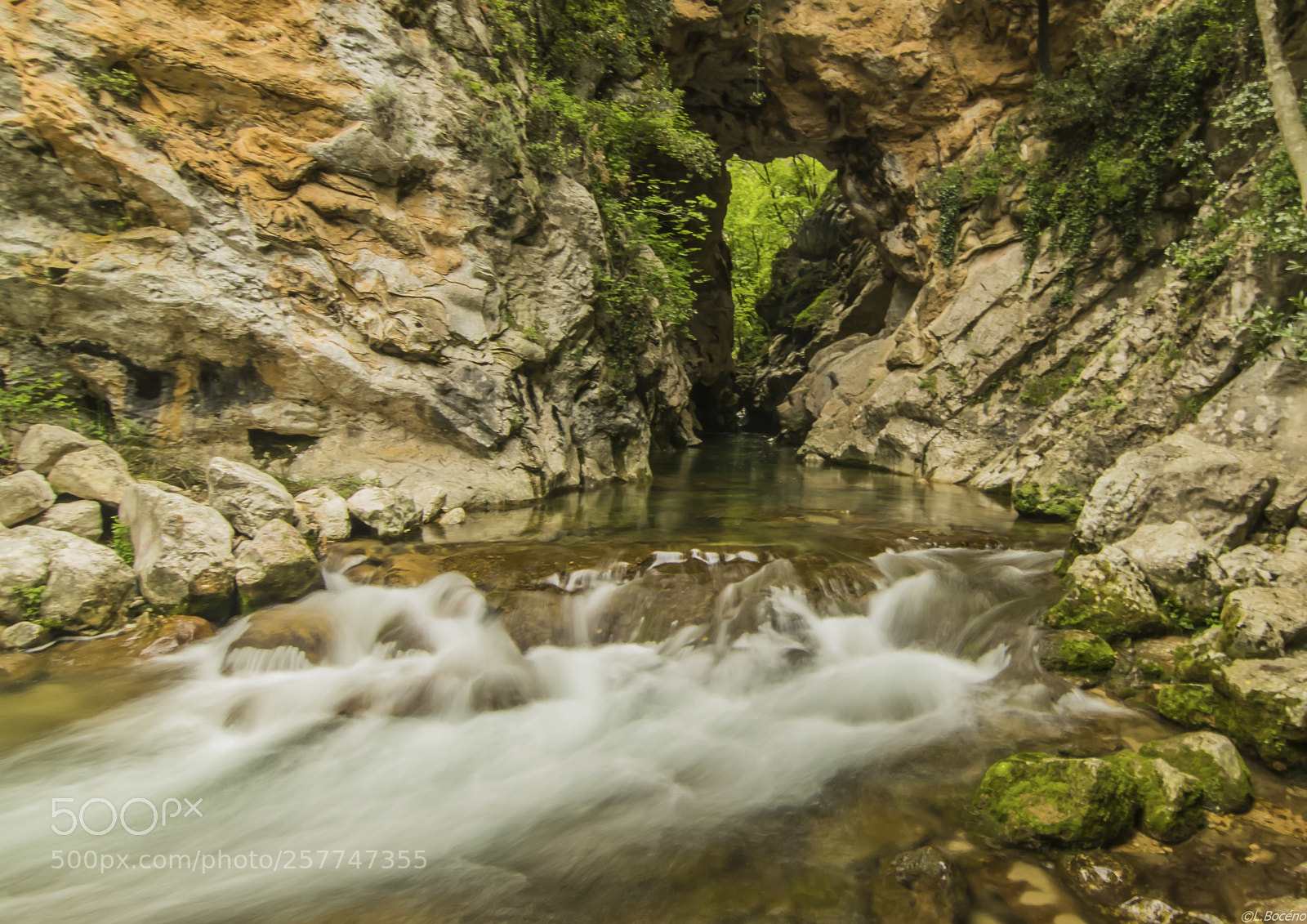 Nikon D5500 sample photo. River with an arch photography