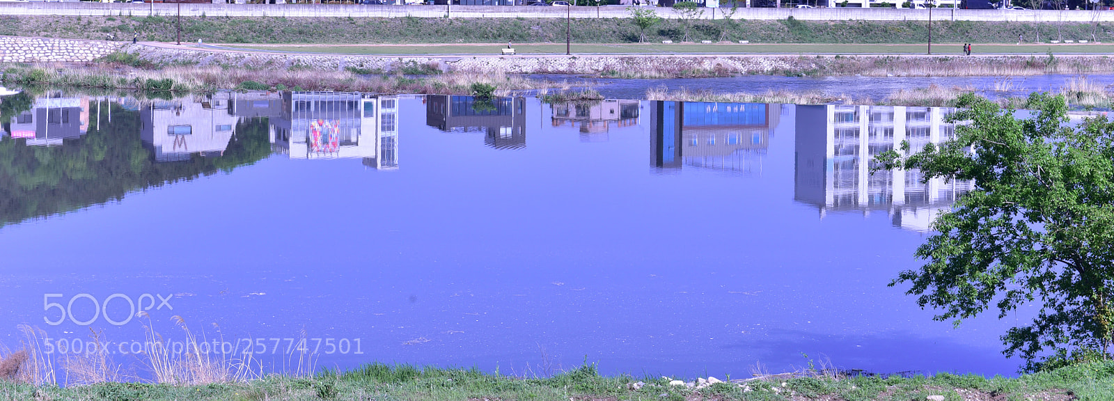 Nikon D750 sample photo. Reflection photography