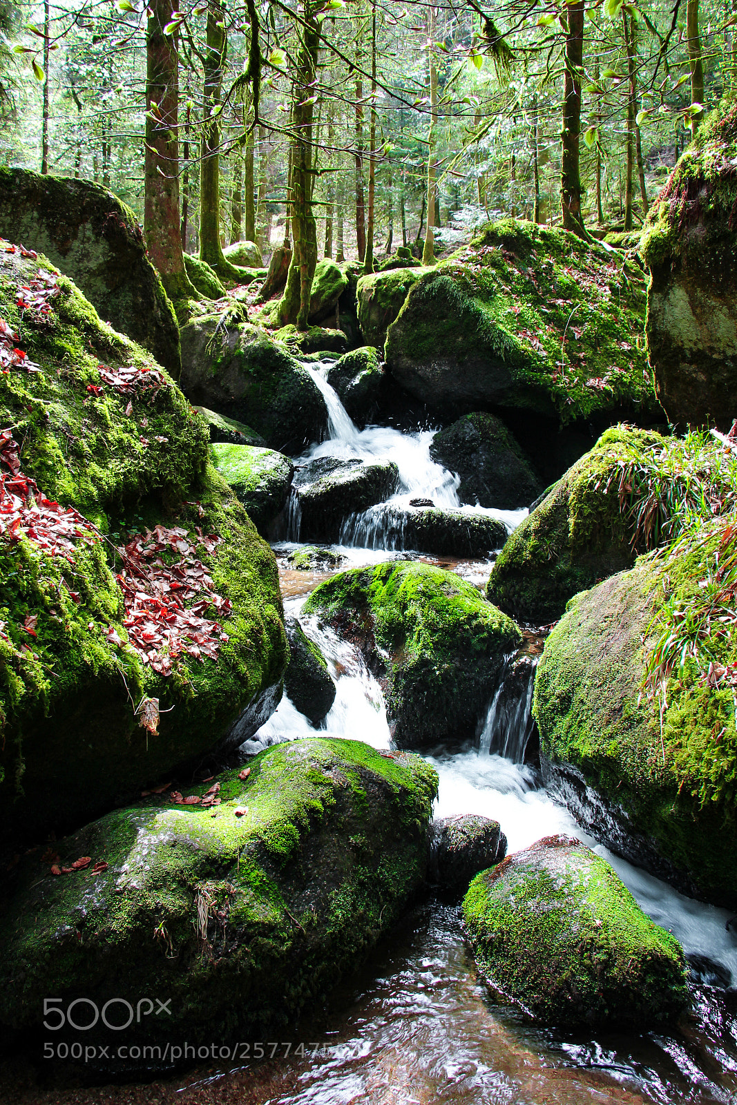 Canon EOS 100D (EOS Rebel SL1 / EOS Kiss X7) sample photo. Mossy falls photography