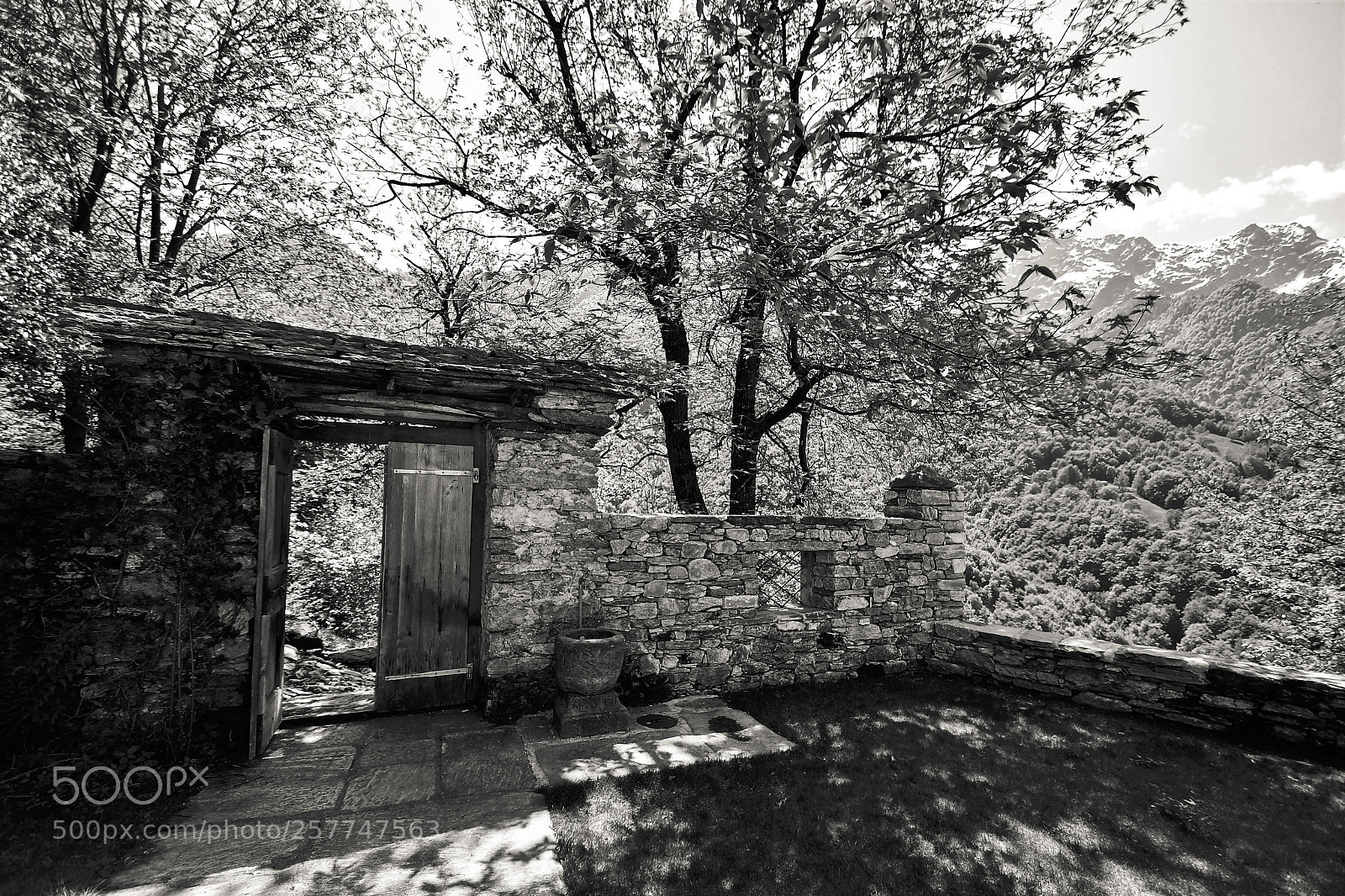 Nikon D500 sample photo. In mezzo al nulla.... photography