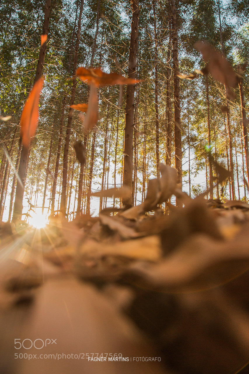 Canon EOS 6D sample photo. Mountain bike photography