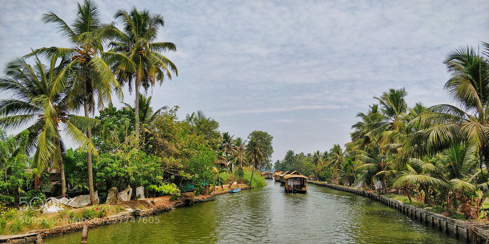 OnePlus 5T sample photo. Backwaters of kerela photography