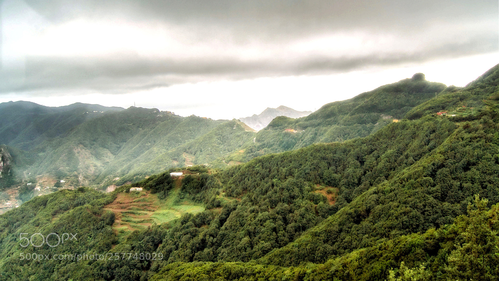 Sony SLT-A55 (SLT-A55V) sample photo. Rural y salvaje, anaga photography