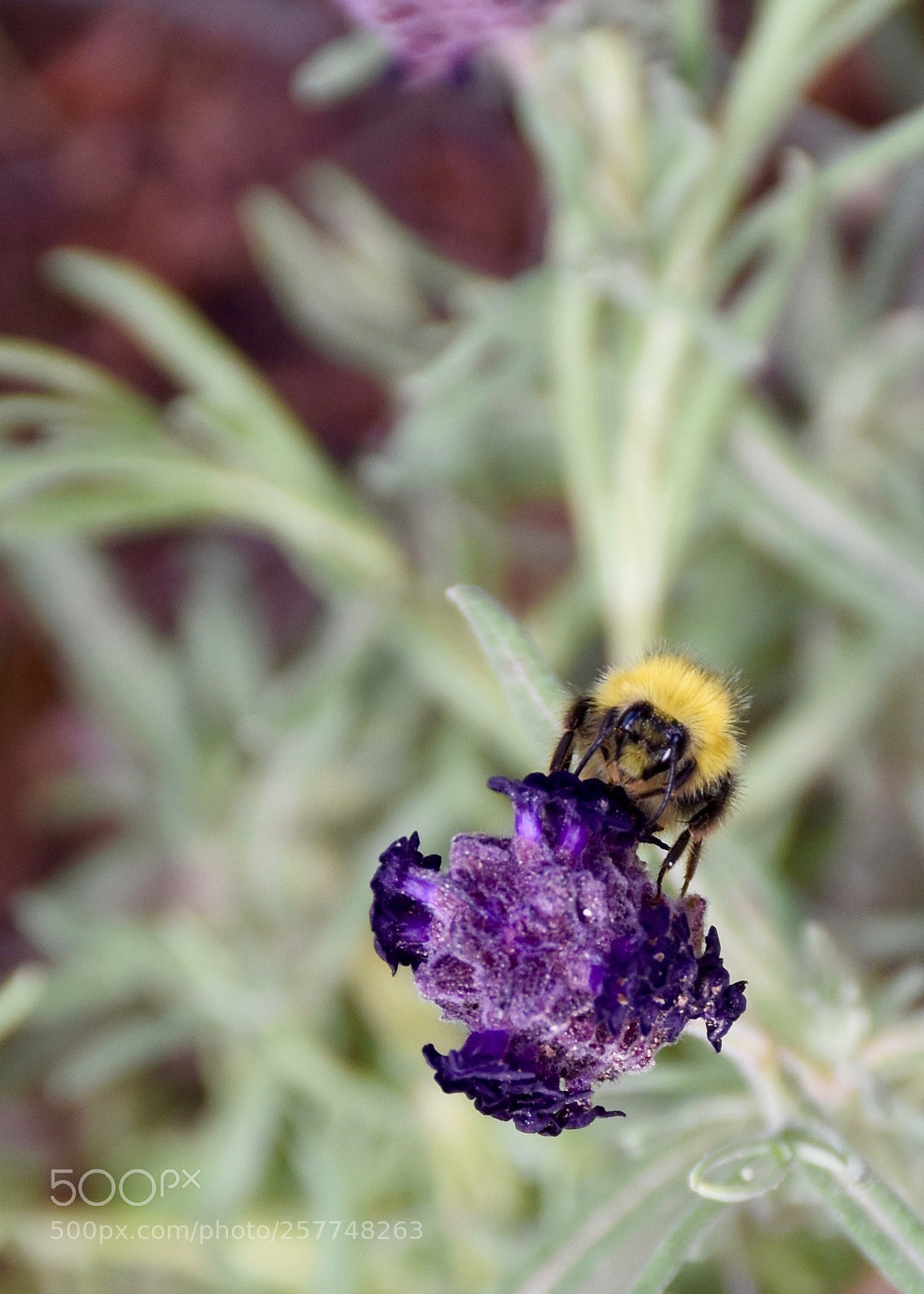 Nikon D5600 sample photo. Good to see you photography