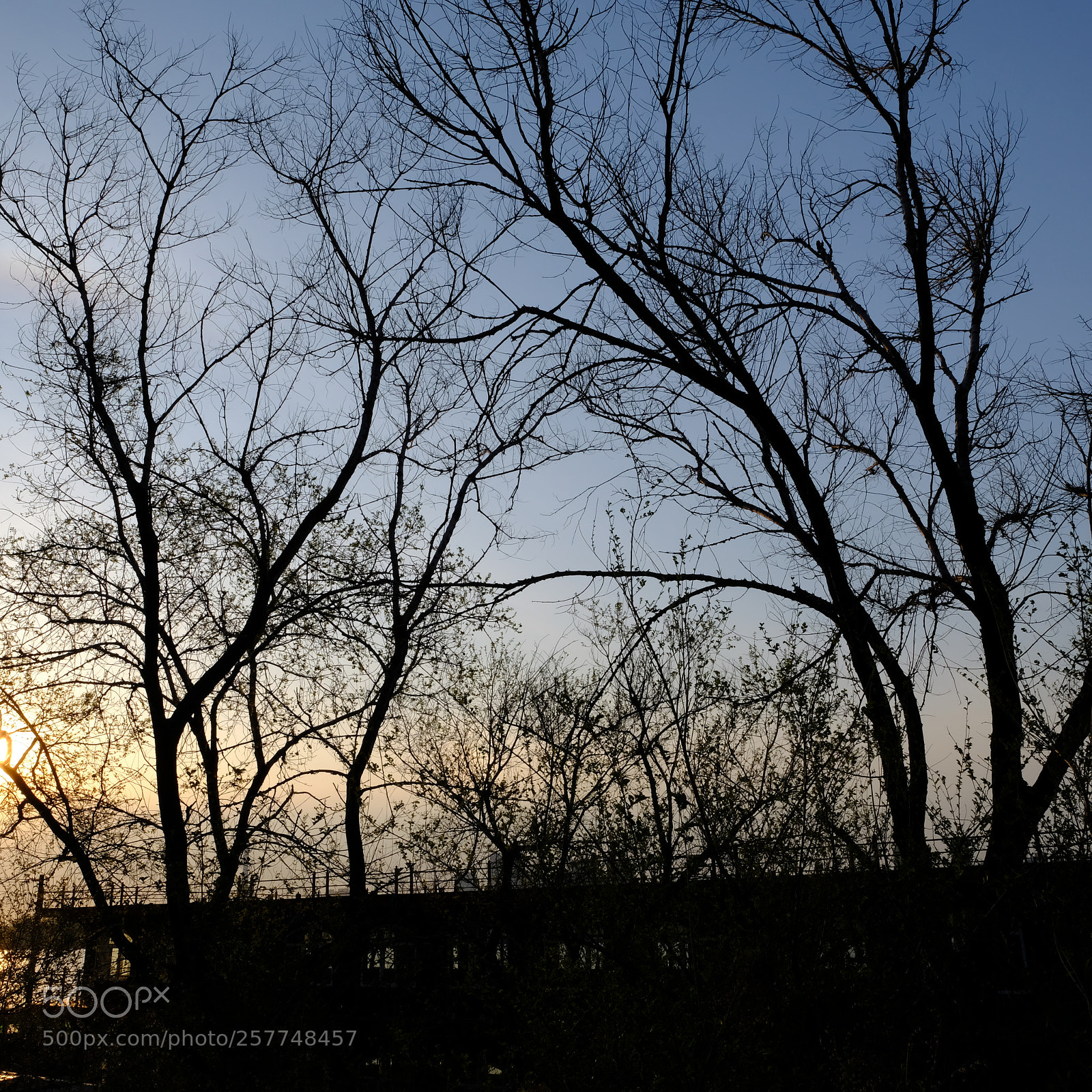 Fujifilm X-T2 sample photo. 船厂 photography