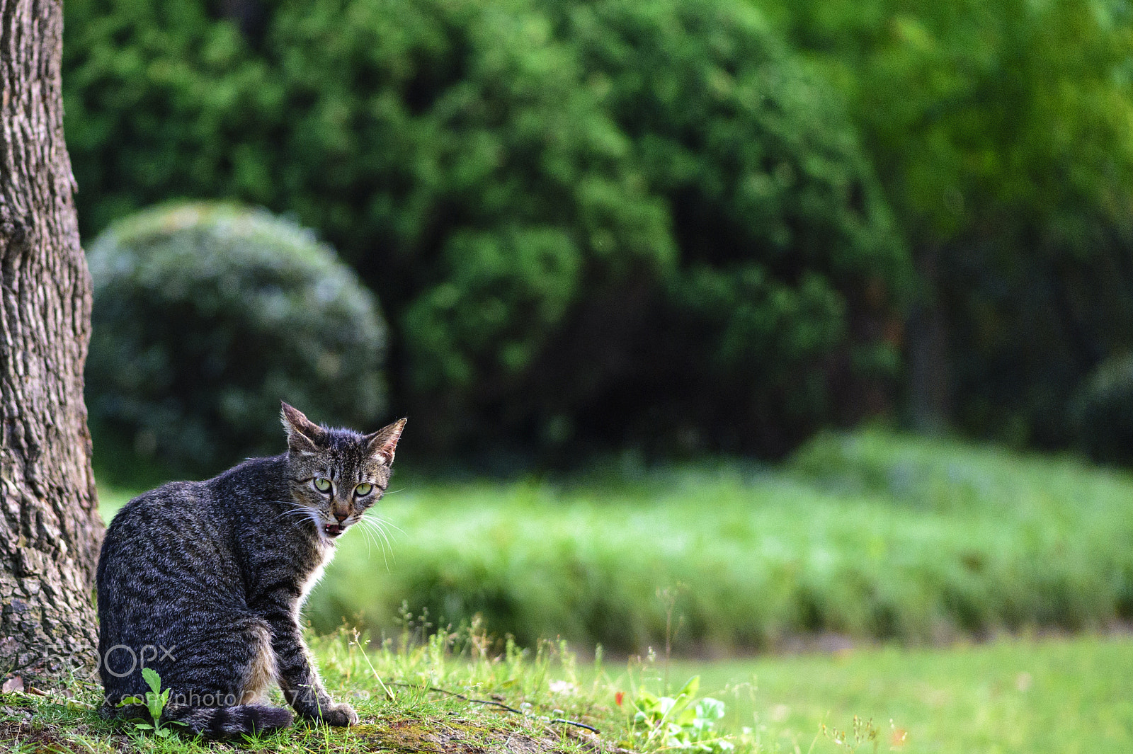 Nikon Df sample photo. Summer begins photography