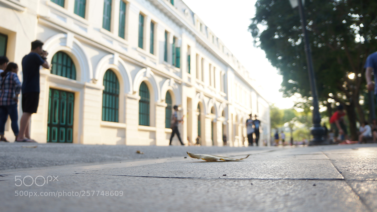 Sony Alpha NEX-5N sample photo. Sunday afternoon, another place... photography