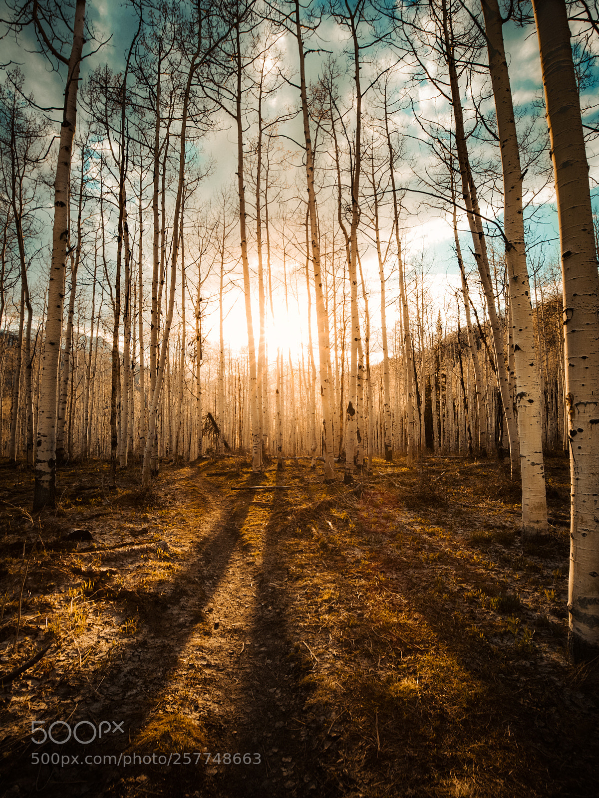 Canon EOS 5D Mark IV sample photo. Silent sunset photography