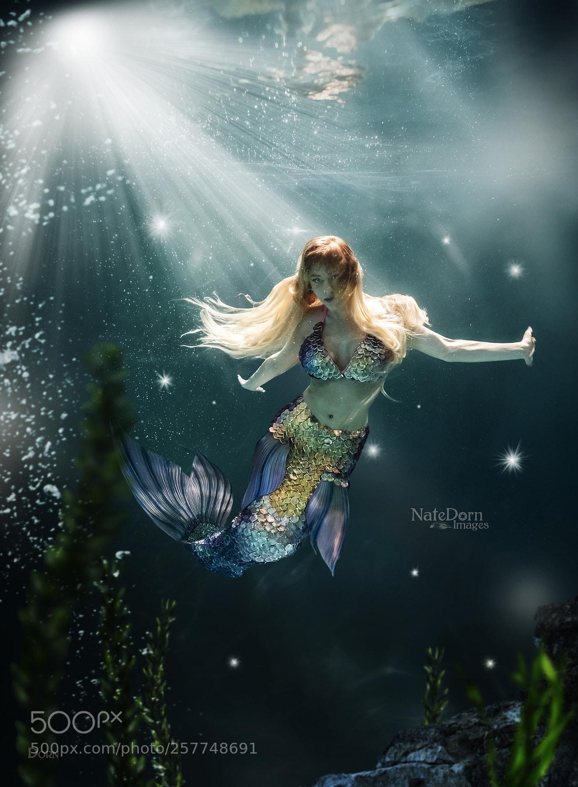 Canon EOS 5D Mark IV sample photo. Mermaid moment photography